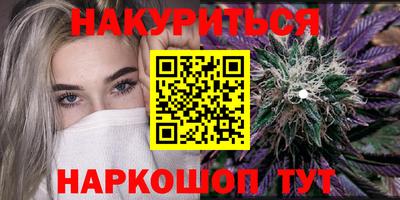 индика Новозыбков