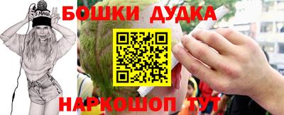 индика Новозыбков